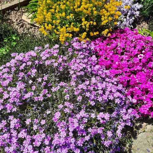 Gartenbegehung rechte Seite 10-12 Uhr